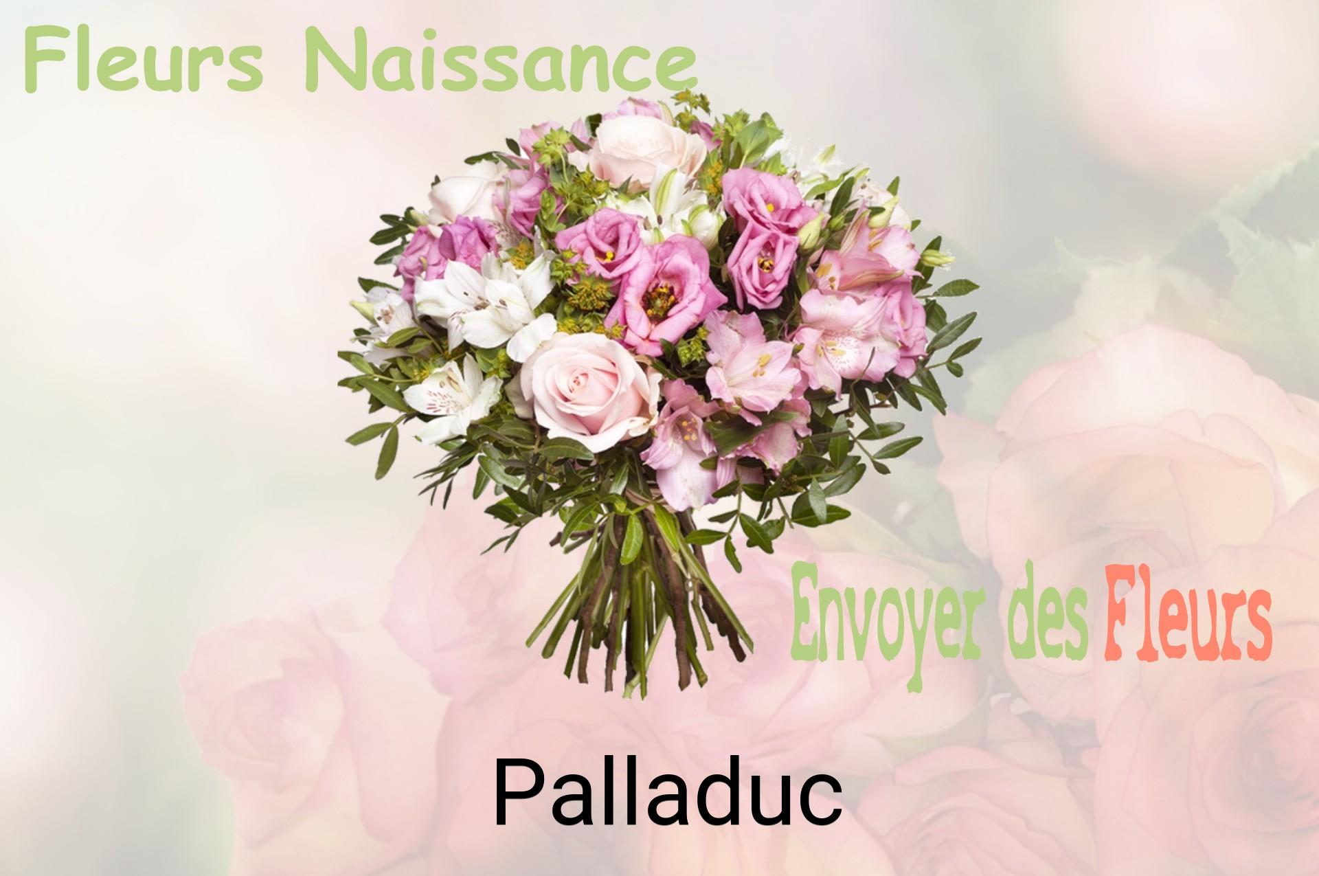 Bouquet de fleurs de naissance livré à Palladuc